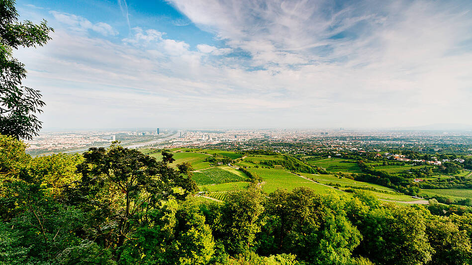 Kahlenberg