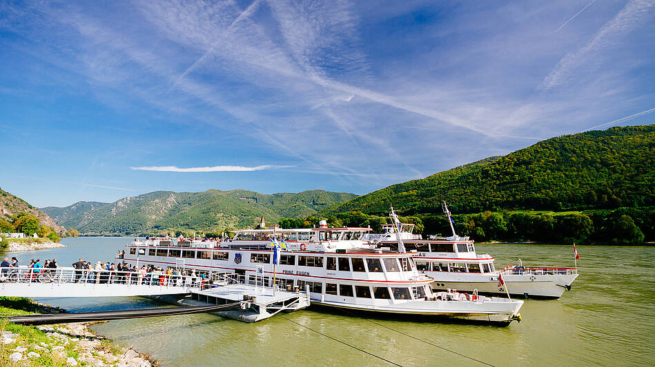 Tagesausflug in die Wachau, Boot