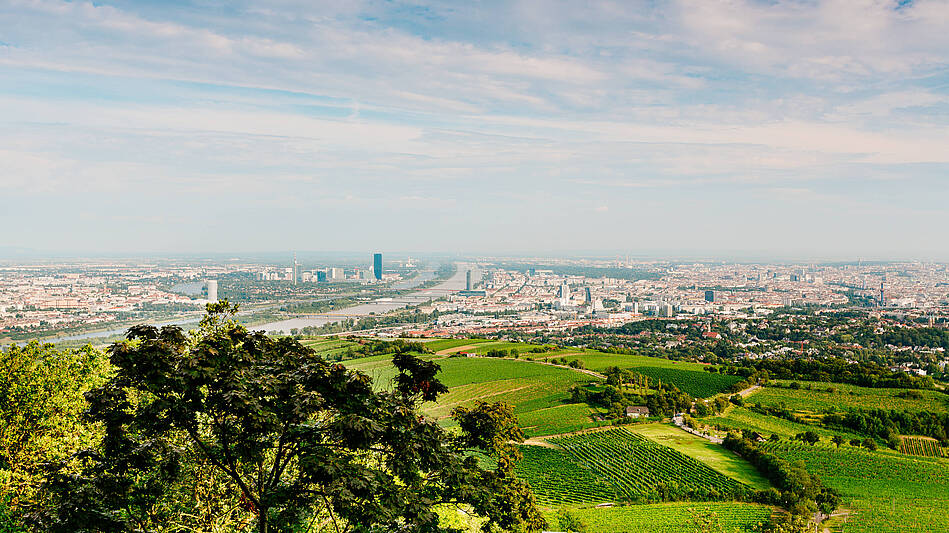 Kahlenberg Wien